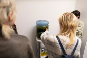 Blue-green algae from Lough Neagh displayed throughout Belfast Picture Competition