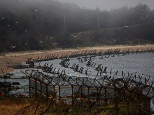 People detained making an attempt to ship rice, Bibles, greenback payments to North Korea | Politics Information