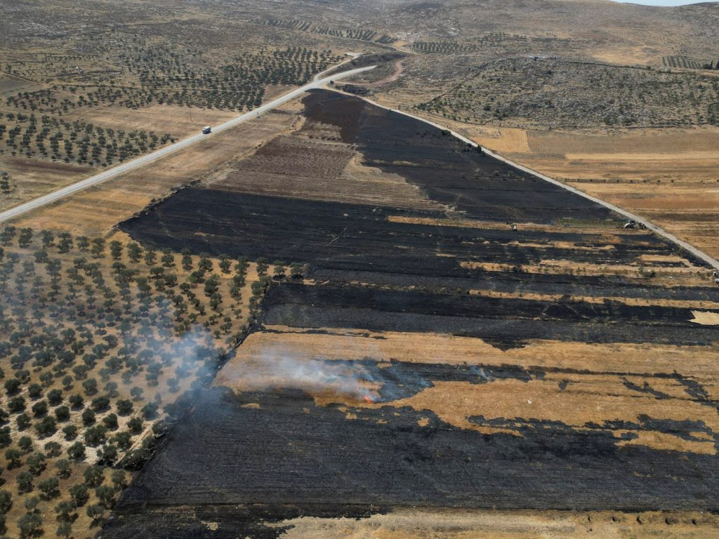 Israel is continuing with annexation, and there is just one strategy to cease it | Israel-Palestine battle Israel is continuing with annexation, and there is just one strategy to cease it | Israel-Palestine battle