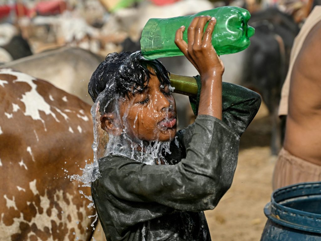 Month of Might was world’s second-warmest on report: EU scientists | Local weather Disaster Information