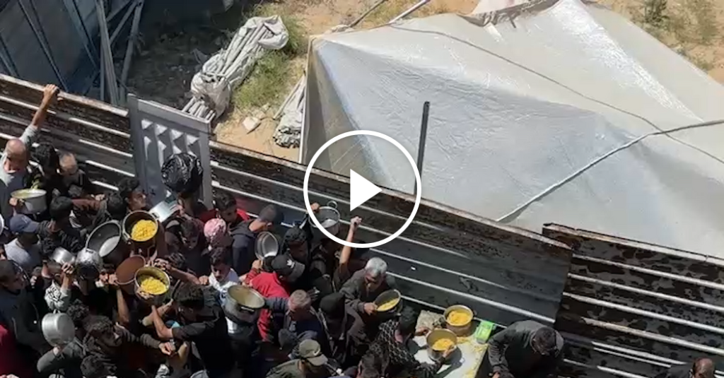 Contained in the Wrestle to Discover Meals in Gaza