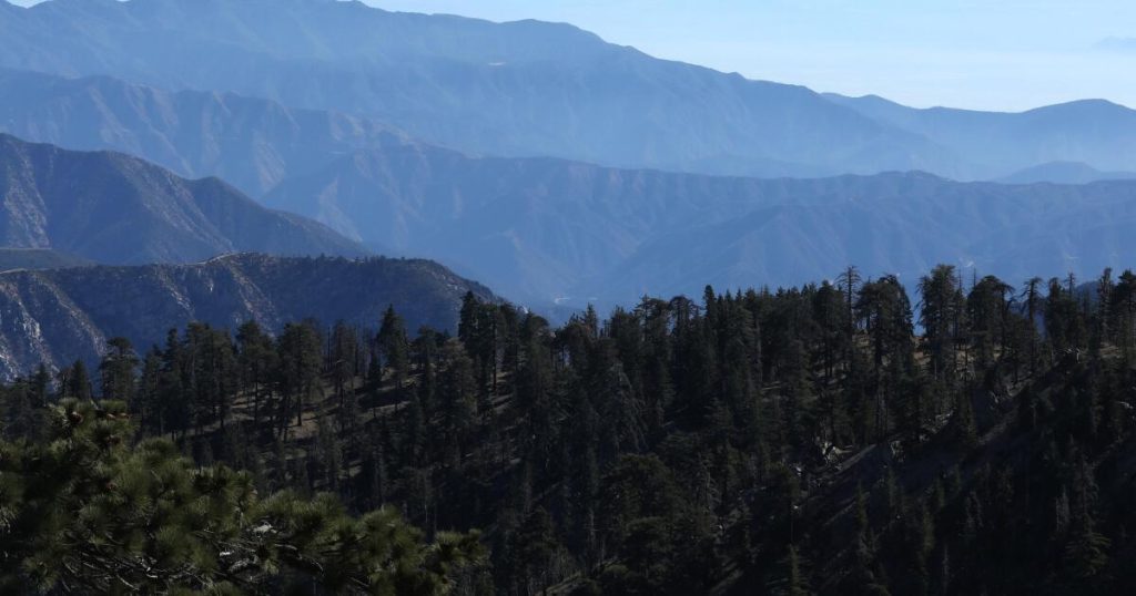 Pursuits of logging firms shouldn’t come earlier than forest safety