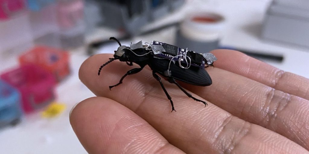 Watch: Cyborg Beetles, Open Supply Humanoids, Extra Watch: Cyborg Beetles, Open Supply Humanoids, Extra