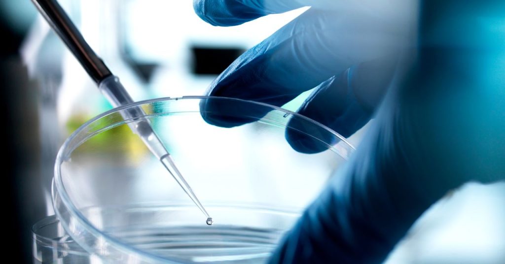 Florida Is Now a Haven for Unproven Stem-Cell Remedies Florida Is Now a Haven for Unproven Stem-Cell Remedies