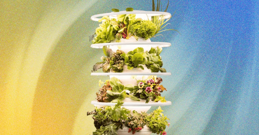 Lettuce Develop Indoor Farmstand Evaluate: Develop Your Personal