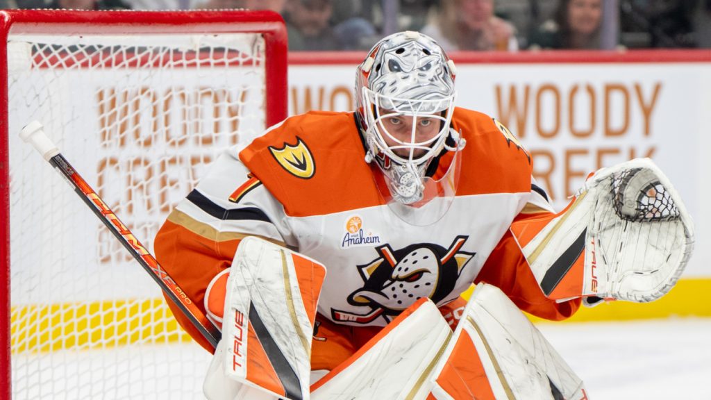 Geese signal beginning goaltender to a brand new five-year deal