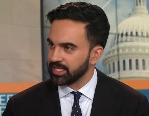 Throughout the Pandemic, NYC Communist Zohran Mamdani Referred to as to ‘Seize’ the Properties of the Wealthy for the Homeless | The Gateway Pundit