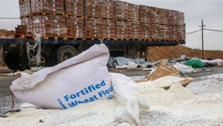 Overseas NGOs say new Israeli guidelines maintain them from delivering Gaza assist