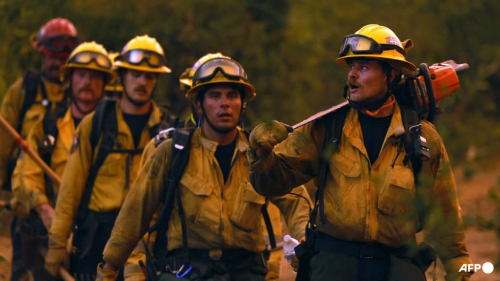 Firefighters arrested by US immigration officers Firefighters arrested by US immigration officers