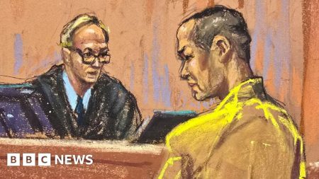 ‘Cryptocrash king’ Do Kwon pleads responsible to fraud