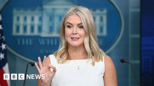 US in talks over 10% Intel stake, White Home confirms