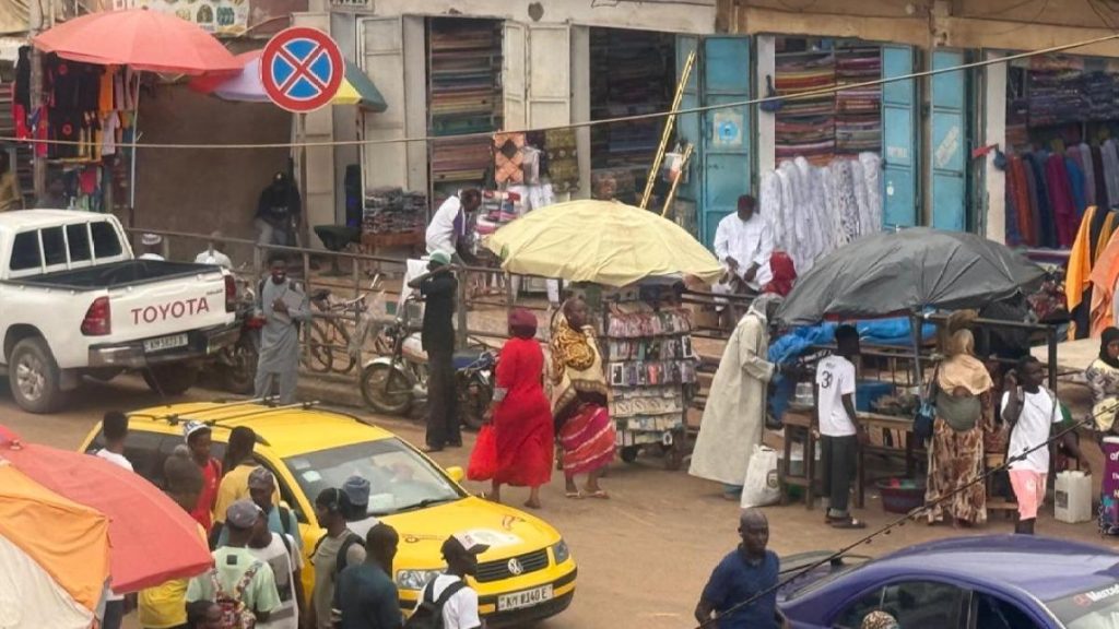 ‘Lower in secret’: Gambia anti-FGM activists concern infants focused regardless of ban | Baby Rights Information