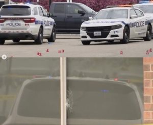 Canada murders spark calls to label India’s Bishnoi gang a ‘terror’ group | Crime Information