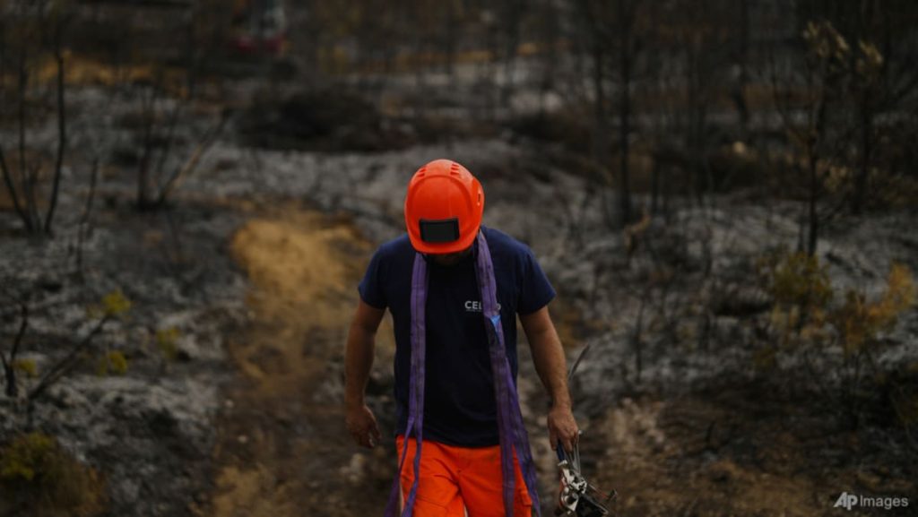 Firefighters convey enormous blaze in France below management