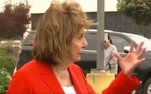 Nancy Pelosi’s Current Feedback on ‘Trans Children’ Present This can be a Hill Democrats Are Prepared to Die on (VIDEO) | The Gateway Pundit