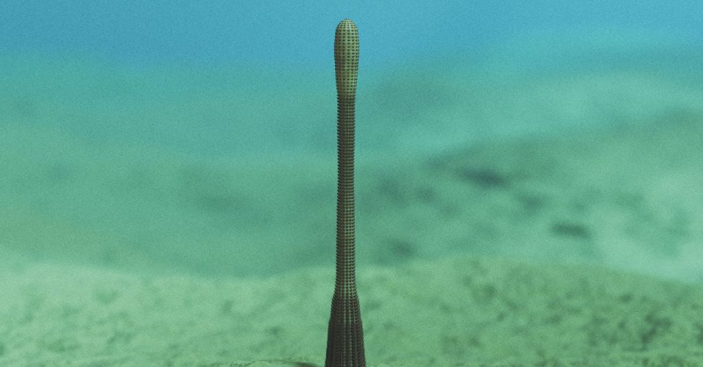 An Historic Penis Worm With Rings of Sharp Tooth Has Been Found within the Grand Canyon An Historic Penis Worm With Rings of Sharp Tooth Has Been Found within the Grand Canyon