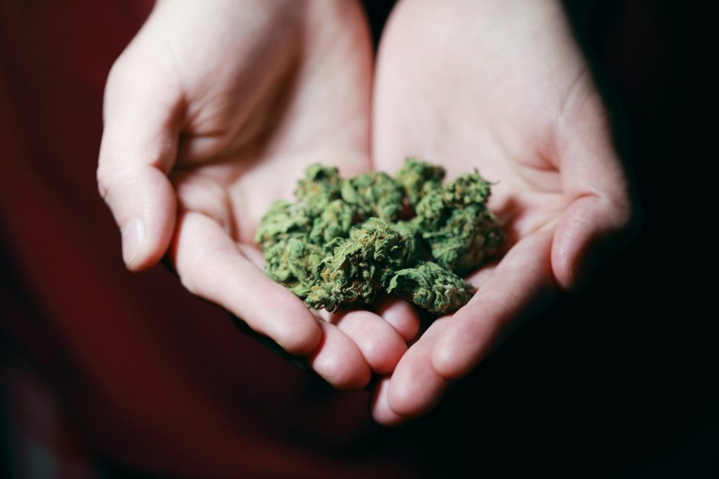 The Impression of Marijuana as Extra States Look to Legalize