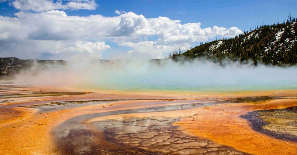 These Newly Found Cells Breathe in Two Methods These Newly Found Cells Breathe in Two Methods