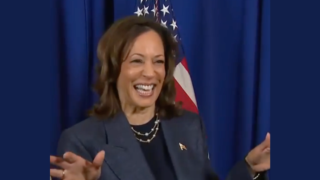 Money-Poor Democrats Are STILL Struggling to Bail Out the Failed Kamala Harris Marketing campaign and Her Efforts to Assist Them Have Failed | The Gateway Pundit Money-Poor Democrats Are STILL Struggling to Bail Out the Failed Kamala Harris Marketing campaign and Her Efforts to Assist Them Have Failed | The Gateway Pundit