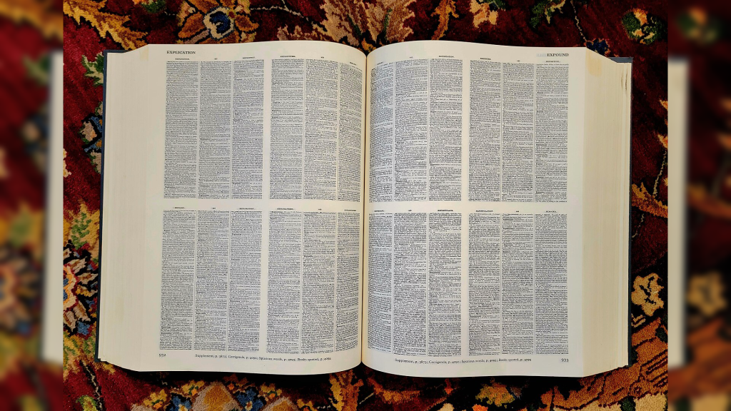 ‘Skibidi’ and Different Slang Phrases Favored by Younger People Discover Their Method Into the Dictionary | The Gateway Pundit