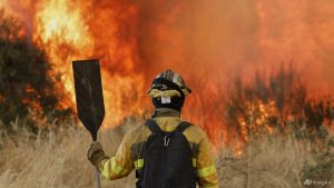 Newest Spain heatwave was ‘most intense on document’