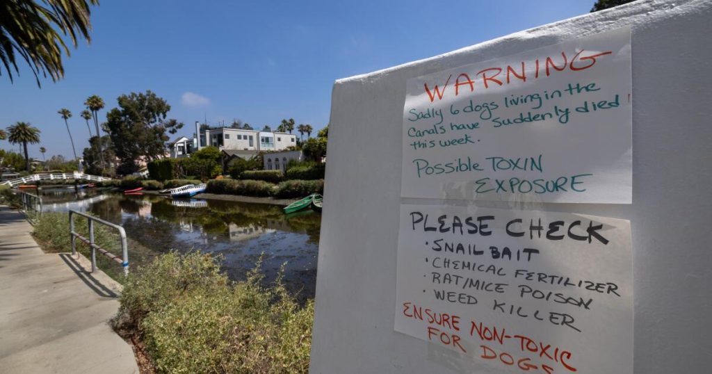 Column: The Venice canals had been canine heaven. Now they are a canine hazard