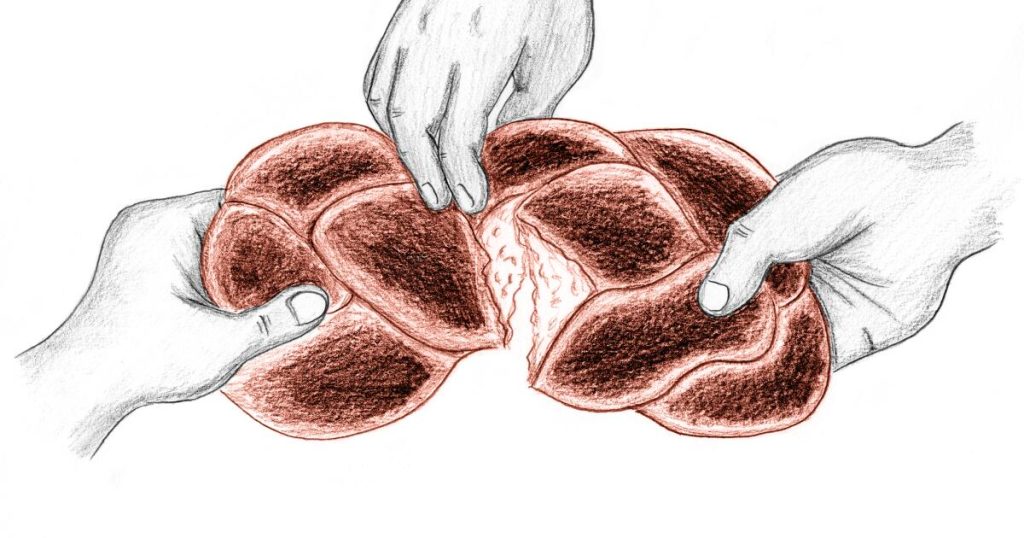 Contributor: Meals for throughout safety for some