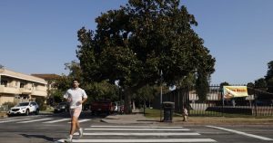 Contributor: It is no marvel Angelenos are portray crosswalks themselves