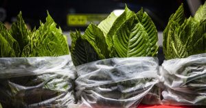 Letters to the Editor: Banning kratom would simply deprive many sufferers of opioid-free aid