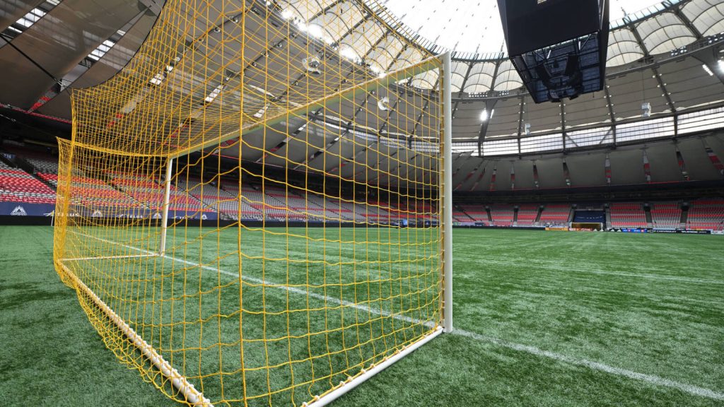 Manchester United lastly lands new goalkeeper